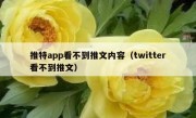 推特app看不到推文内容（twitter看不到推文）