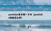 youtube多少钱一个月（youtube收益怎么样）