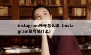 instagram账号怎么填（instagram账号填什么）