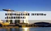 支付宝付款app怎么设置（支付宝付款app怎么设置付款方式）