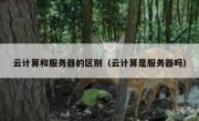 云计算和服务器的区别（云计算是服务器吗）