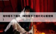推特看不了图片（推特看不了图片可以看视频）