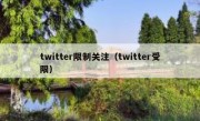 twitter限制关注（twitter受限）