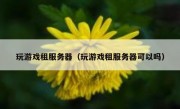 玩游戏租服务器（玩游戏租服务器可以吗）