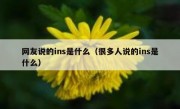 网友说的ins是什么（很多人说的ins是什么）