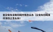 坐公交车没有扫码付钱怎么办（公交车扫码支付没扫上怎么办）
