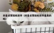 抖音点赞挂机软件（抖音点赞挂机软件是真的吗）