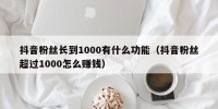 抖音粉丝长到1000有什么功能（抖音粉丝超过1000怎么赚钱）