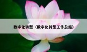 数字化转型（数字化转型工作总结）