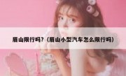 眉山限行吗?（眉山小型汽车怎么限行吗）