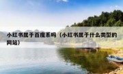 小红书属于百度系吗（小红书属于什么类型的网站）