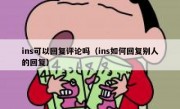 ins可以回复评论吗（ins如何回复别人的回复）