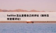 twitter怎么查看自己的评论（推特怎样查看评论）