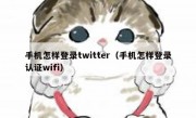 手机怎样登录twitter（手机怎样登录认证wifi）