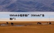 tiktok小程序推广（tiktok广告推广）