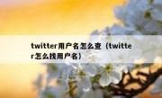 twitter用户名怎么查（twitter怎么找用户名）