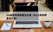 ins粉丝具体数量怎么看（ins上粉丝数量怎么看）