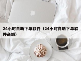 24小时自助下单软件（24小时自助下单软件商城）