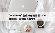 facebook广告成效在哪里看（facebook广告效果怎么看）