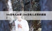 ins没有人点赞（ins没有人点赞的原因）
