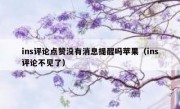 ins评论点赞没有消息提醒吗苹果（ins评论不见了）