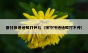 推特推送通知打开后（推特推送通知打不开）