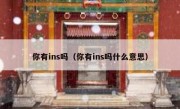 你有ins吗（你有ins吗什么意思）