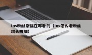 ins粉丝涨幅在哪看的（ins怎么看粉丝增长明细）