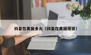 抖音在美国多火（抖音在美国现状）
