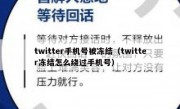twitter手机号被冻结（twitter冻结怎么绕过手机号）
