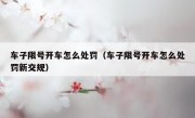 车子限号开车怎么处罚（车子限号开车怎么处罚新交规）