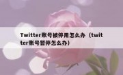 Twitter账号被停用怎么办（twitter账号暂停怎么办）
