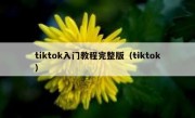 tiktok入门教程完整版（tiktok）