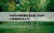 twitter邮件地址怎么填（twitter邮箱地址怎么写）
