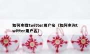 如何查找twitter用户名（如何查询twitter用户名）