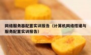 网络服务器配置实训报告（计算机网络搭建与服务配置实训报告）
