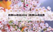 防弹ins粉丝2022（防弹ins粉丝数）