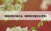 易码付支付是什么（易码支付是什么意思）