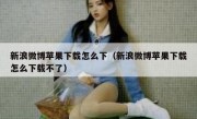 新浪微博苹果下载怎么下（新浪微博苹果下载怎么下载不了）