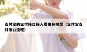 支付宝的支付接口接入费用在哪里（支付宝支付接口流程）