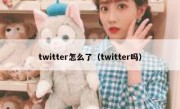 twitter怎么了（twitter吗）