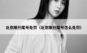 北京限行尾号处罚（北京限行尾号怎么处罚）