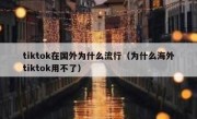 tiktok在国外为什么流行（为什么海外tiktok用不了）