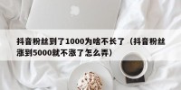 抖音粉丝到了1000为啥不长了（抖音粉丝涨到5000就不涨了怎么弄）