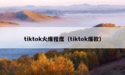 tiktok火爆程度（tiktok爆款）