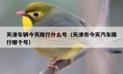 天津车辆今天限行什么号（天津市今天汽车限行哪个号）