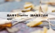国内用不了twitter（国内用不了的好app）