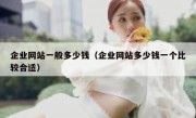 企业网站一般多少钱（企业网站多少钱一个比较合适）
