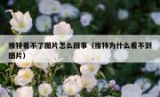 推特看不了图片怎么回事（推特为什么看不到图片）
