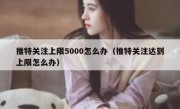 推特关注上限5000怎么办（推特关注达到上限怎么办）
